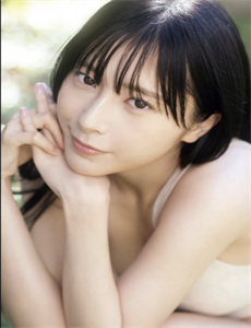 小姐与流浪汉