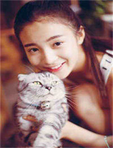 小菊和狼
