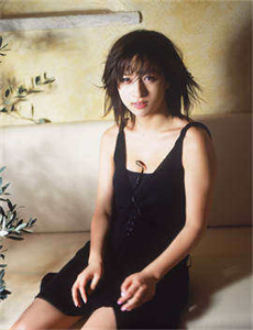 小小科迪